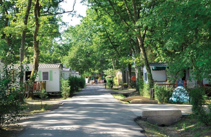 Mobil Home 6 Personnes Camping 4* Mimizan Aureilhan  Exteriör bild